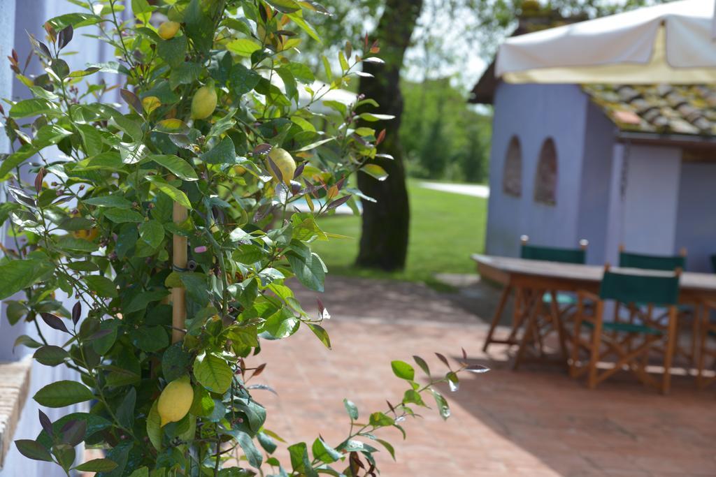 Casa Fontanino Bed & Breakfast Altopascio Bagian luar foto