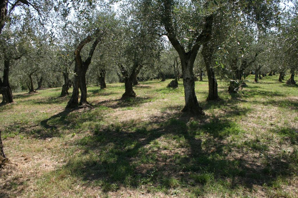 Casa Fontanino Bed & Breakfast Altopascio Bagian luar foto
